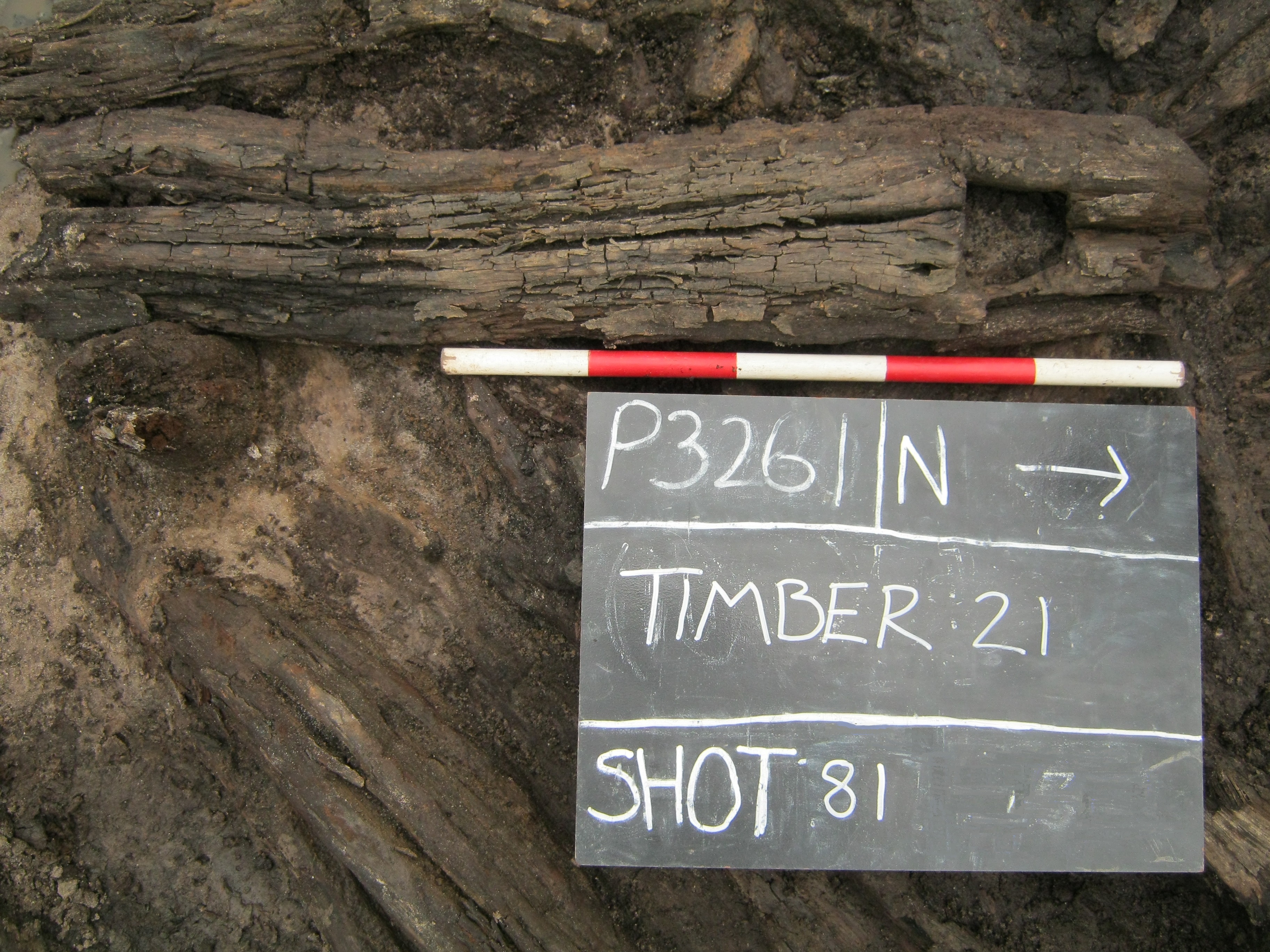 Preserved Bronze Age and Iron Age timbers at a wetland site in Norfolk